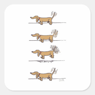 Flying Dachshund brun carré autocollants