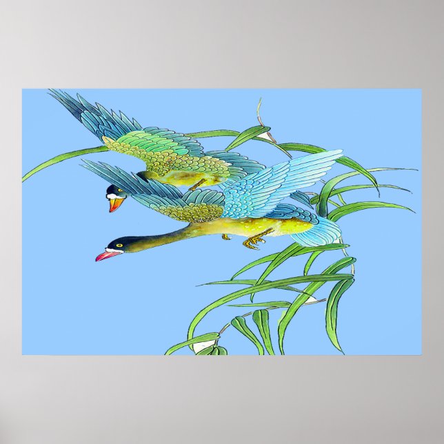 Flying Ducks-Poster Zeichne 2 Poster (Vorne)