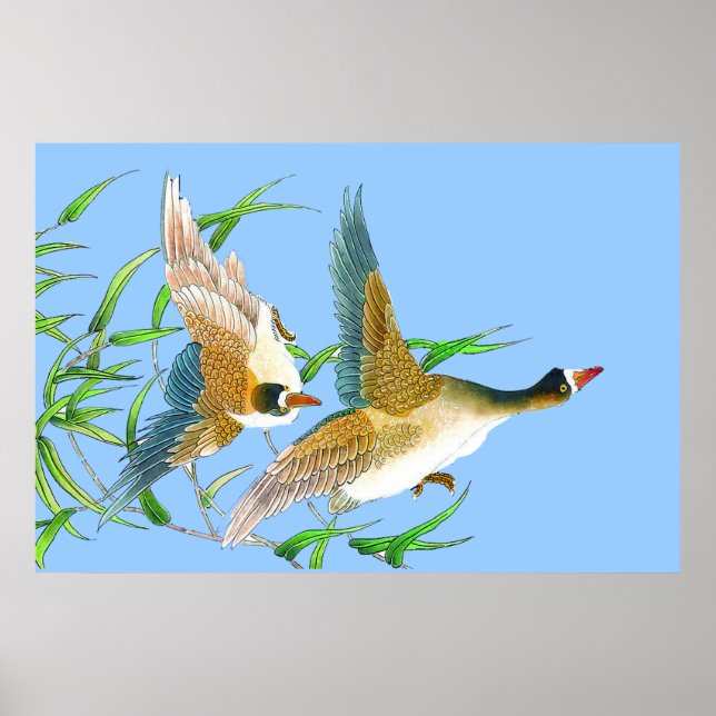 Flying Ducks-Poster Zeichnend Poster (Vorne)