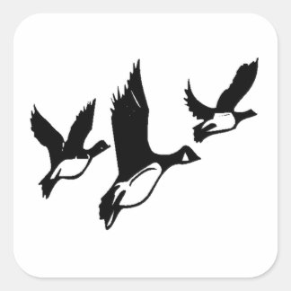 Flying Ducks Quadratischer Aufkleber
