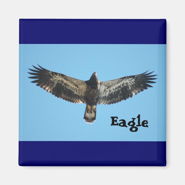 Flying Eagle Magnet (Vorne)