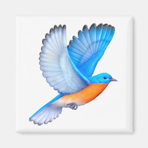 Flying Eastern Bluebird Magnet
