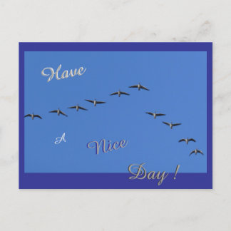 Flying Geese Cust. Ayez une carte postale de Nice