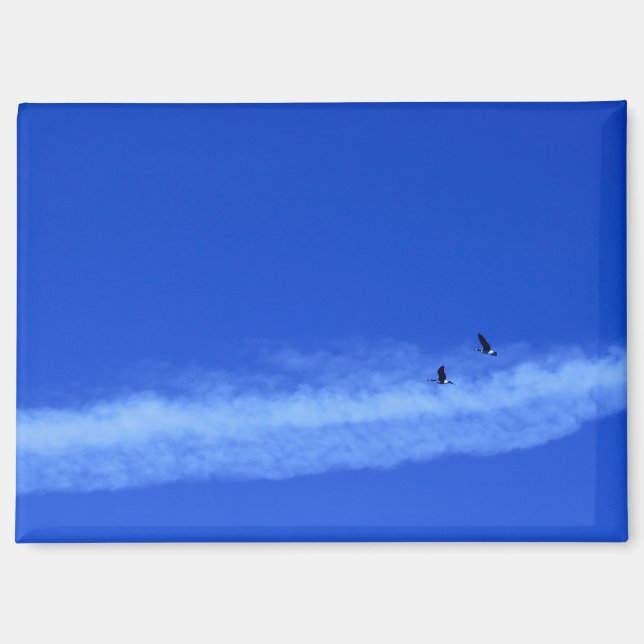 Flying Gese Magnet (Vorderseite)