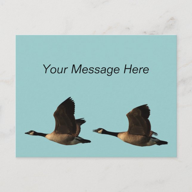 Flying Gese Postcard Postkarte (Vorderseite)
