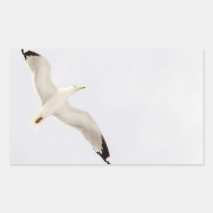 Flying Gull Rechteckiger Aufkleber