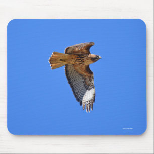 Flying Juvenile Red-Tail Hawk Wildlife Mousepad