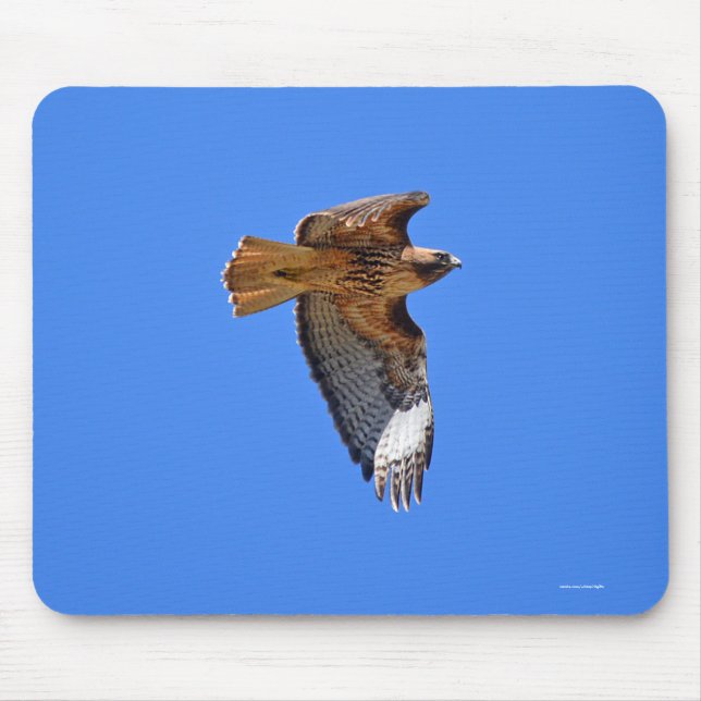 Flying Juvenile Red-Tail Hawk Wildlife Mousepad (Vorne)