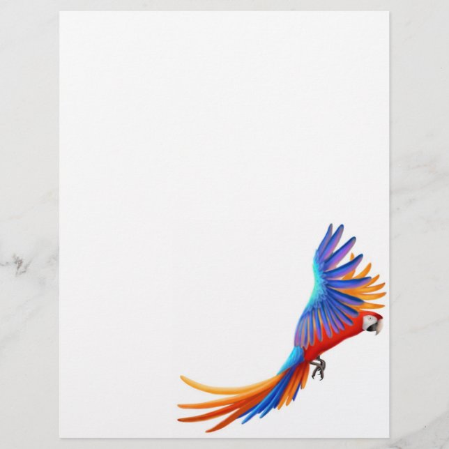Flying Macaw Parrot Letterhead Stationery 8.5 x 11 (Vorderseite)