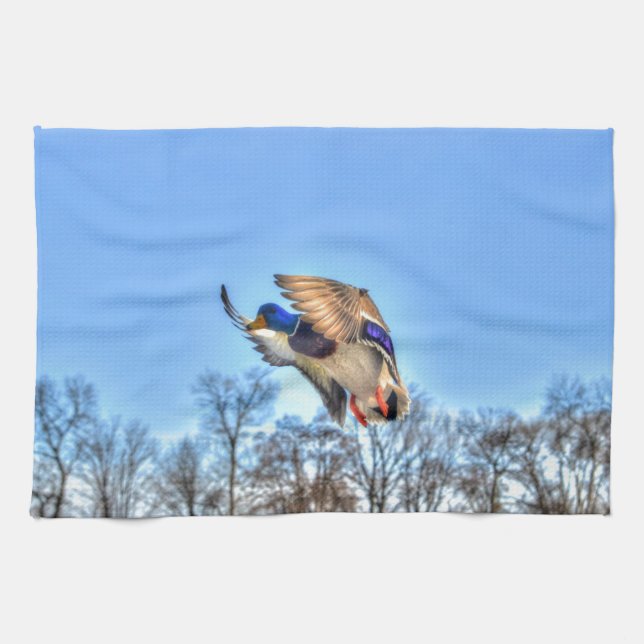 Flying Mallard Duck Drake Wildlife Foto Geschirrtuch (Horizontal)