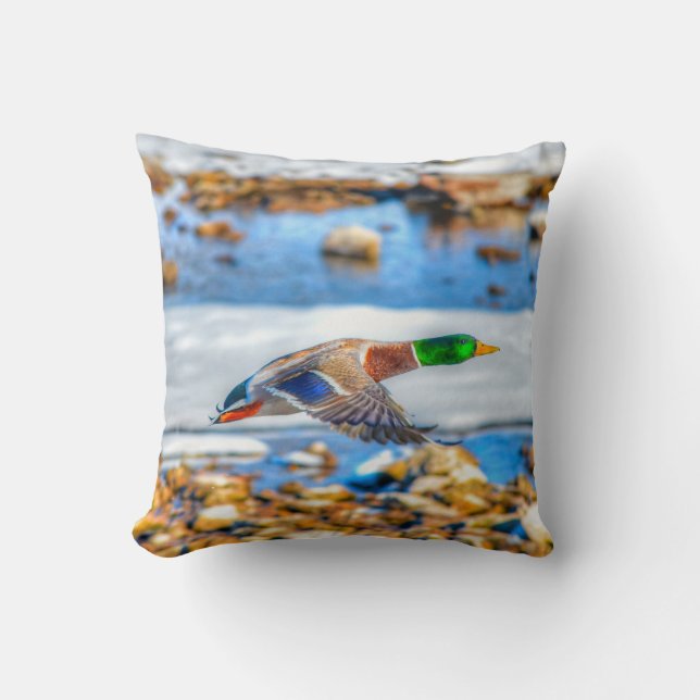 Flying Mallard Duck Drake Wildlife Foto Kissen (Vorderseite)