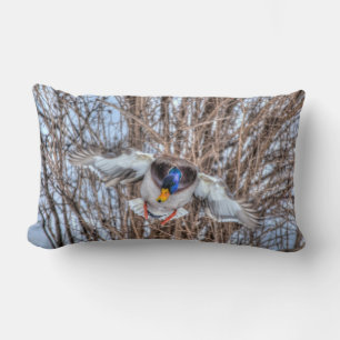 Flying Mallard Duck Drake Wildlife Foto Lendenkissen
