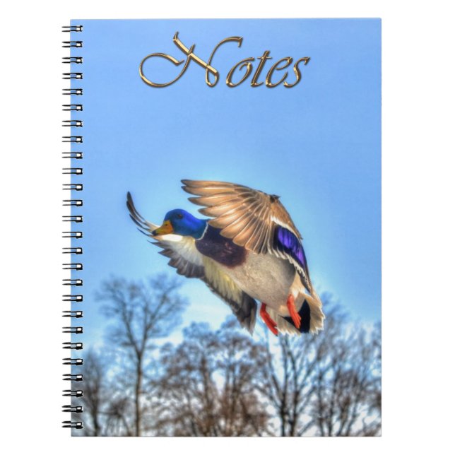 Flying Mallard Duck Drake Wildlife Foto Notizblock (Vorderseite)