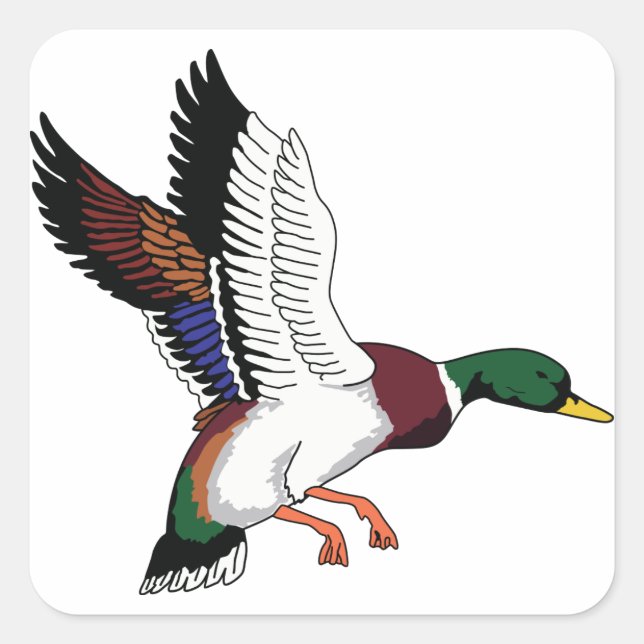 Flying Mallard Quadratischer Aufkleber (Vorderseite)