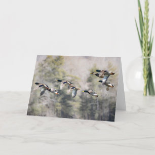 Flying Mallards Karte