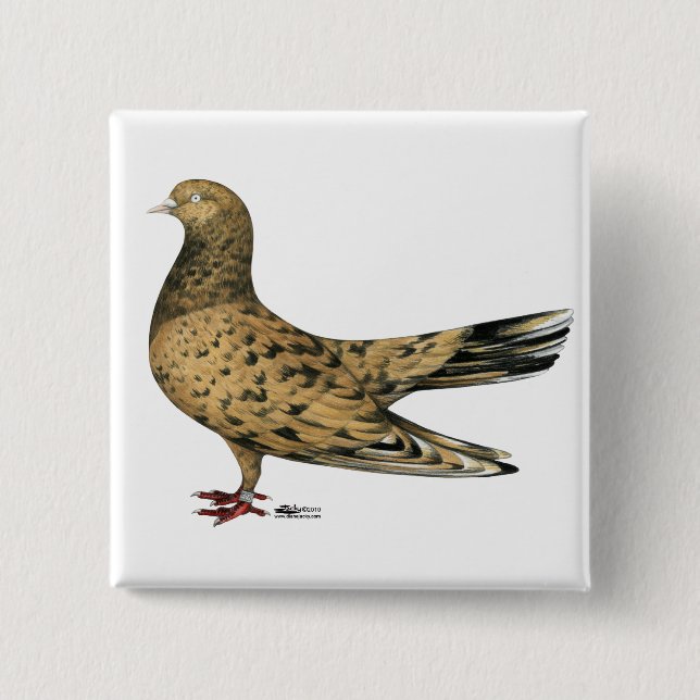 Flying Oriental Roller Pigeon Almond Button (Vorderseite)