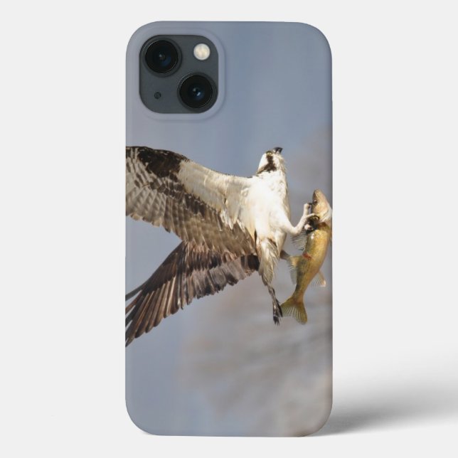 Flying Osprey & Fish 5 Wildlife Fotografy Case-Mate iPhone Hülle (Rückseite)