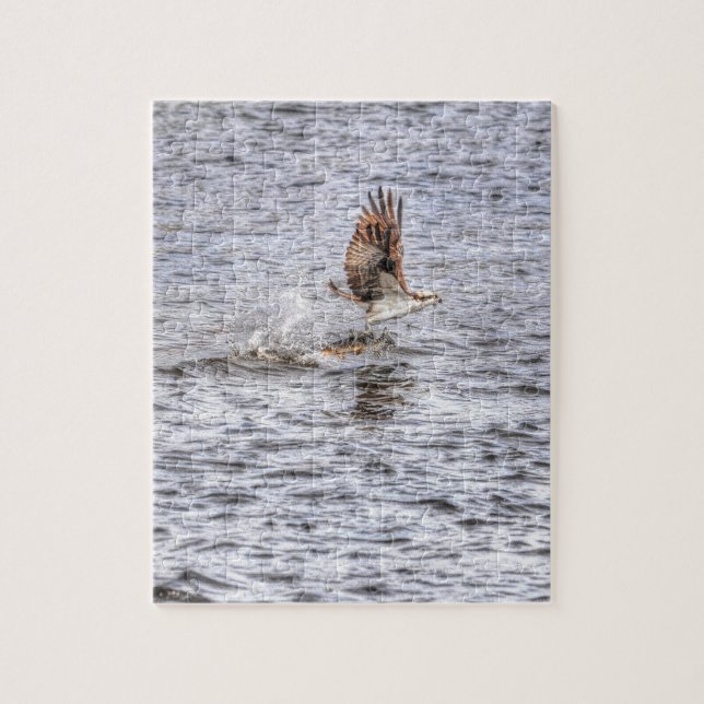 Flying Osprey & Fish HDR Wildlife Foto Geschenk (Vertikal)