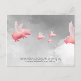 Flying Pig Postkarte