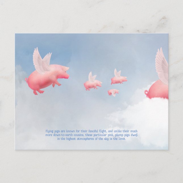 Flying Pig Postkarte (Vorderseite)