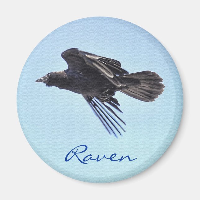 Flying Raven in Blue Sky HDR Foto Design Magnet (Vorne)