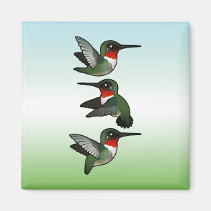 Flying Ruby-throated Hummingbird Magnet
