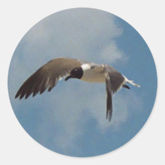 Flying Seagull-Aufkleber Runder Aufkleber