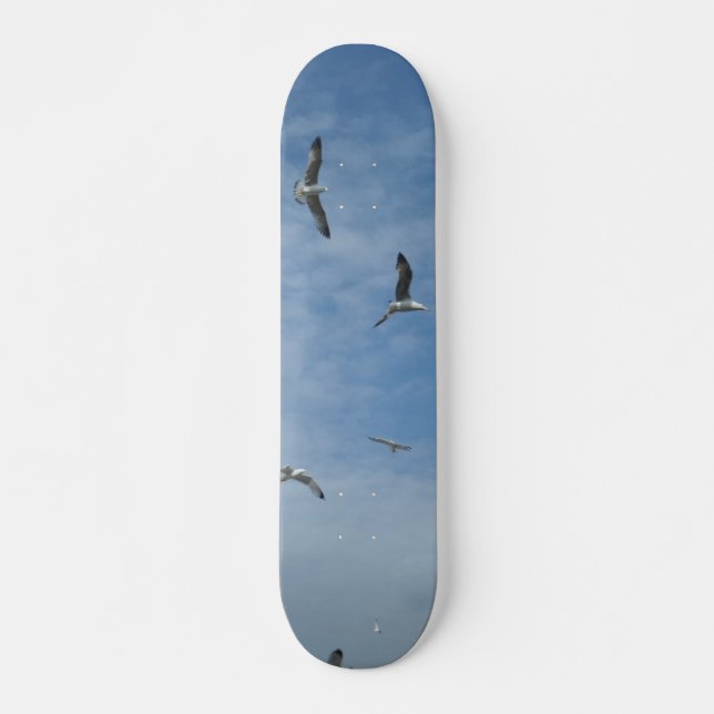 Flying Seagulls Skateboard (Devant)