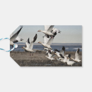 Flying Snow Gese Geschenkanhänger