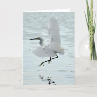 Flying Snowy Egret Karte