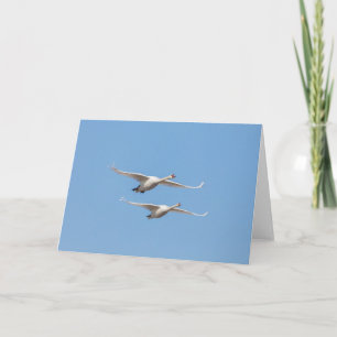 Flying Swans Nature Foto Karte