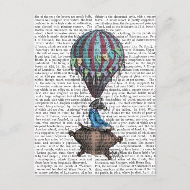 Flying Zebra Postkarte (Vorderseite)