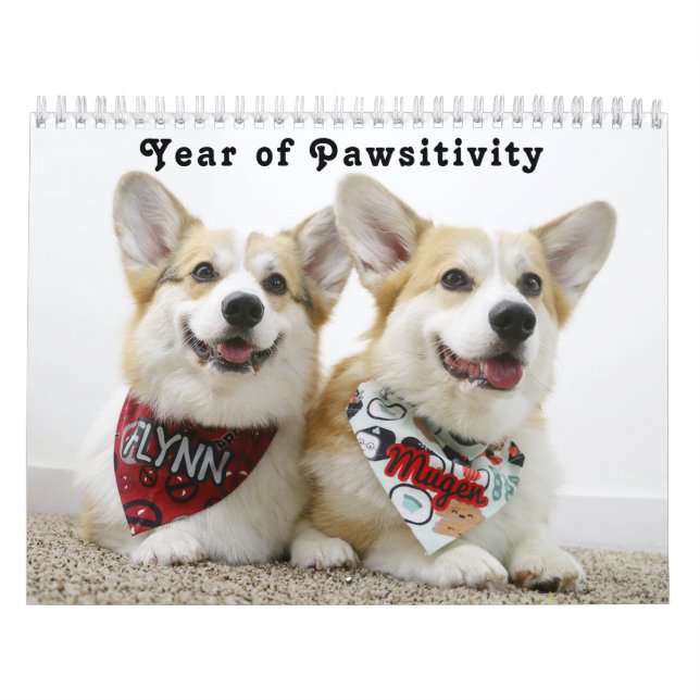 Flynn & Mugens Jahr der Pawsitivität Kalender (Titelbild)