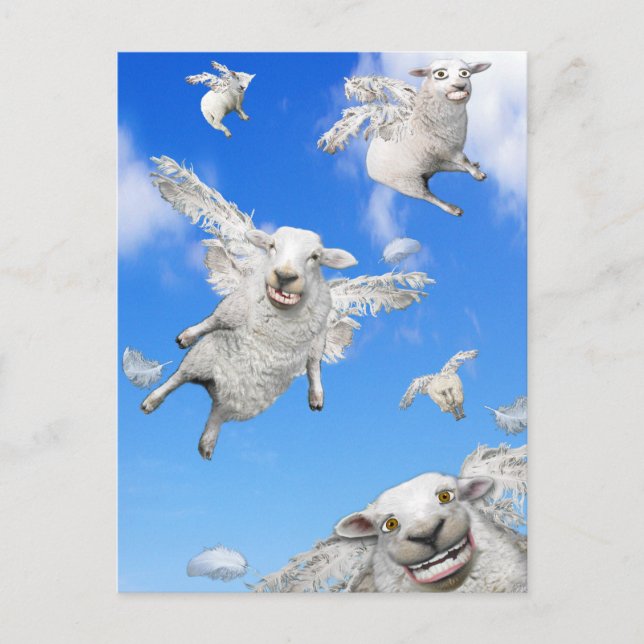 FLYSCHE 2 POSTKARTE (Vorderseite)