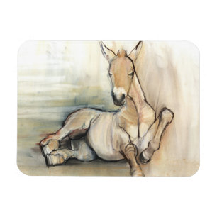 Foal 2012 magnet