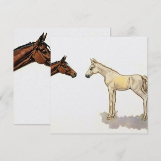 "Foal Friends" Karte von Esorada