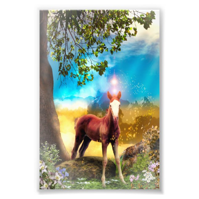 Foal Horse ENCHANTED FOREST Fotodruck (Vorne)