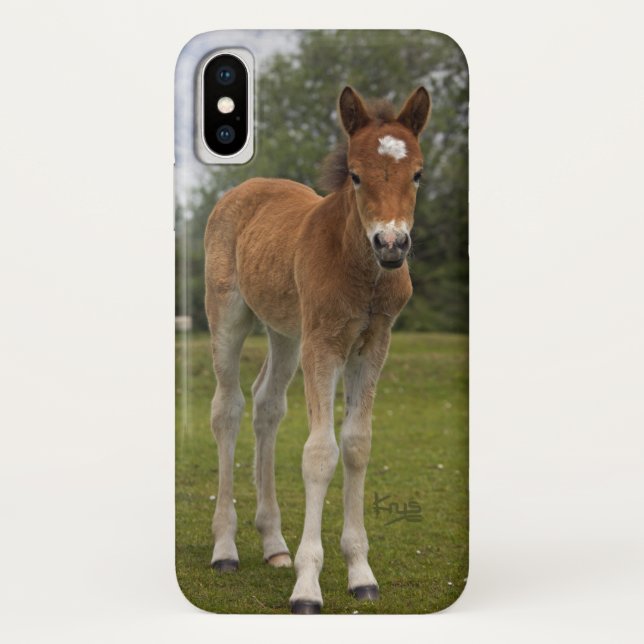 Foal iPhone X Hülle (Rückseite)