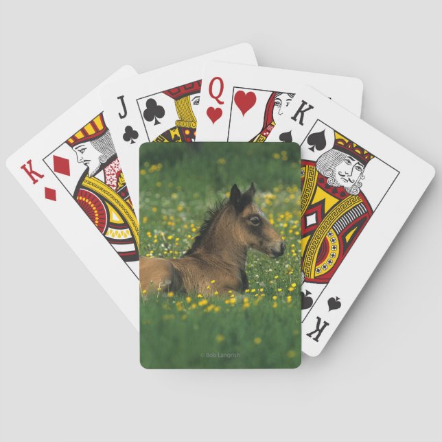 Foal Laying Down in Flowers Spielkarten (Rückseite)