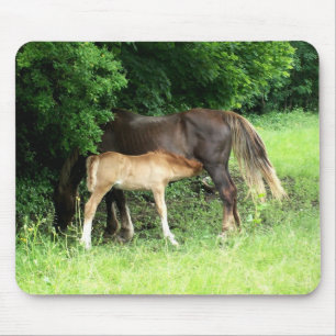 Foal Mousepad