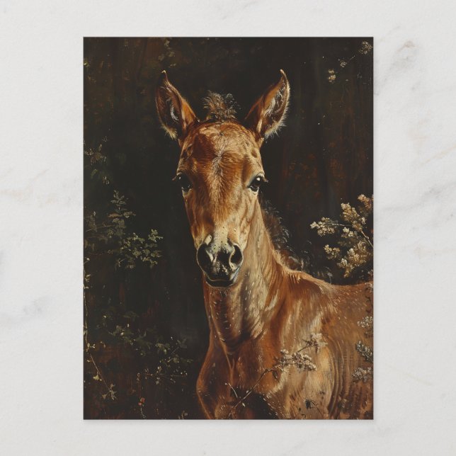 Foallenmalerei Postkarte (Vorderseite)