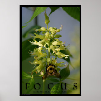 Focus Inspiration Message Poster Art Photo Print