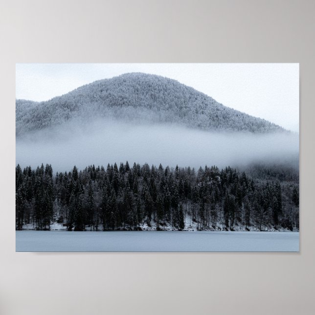 Fog rolling over spruce forest poster (Vorne)