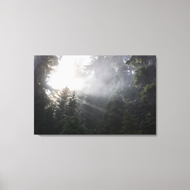 Fog & Sun Beams in einem Wald in Washington Leinwanddruck (Vorderseite)