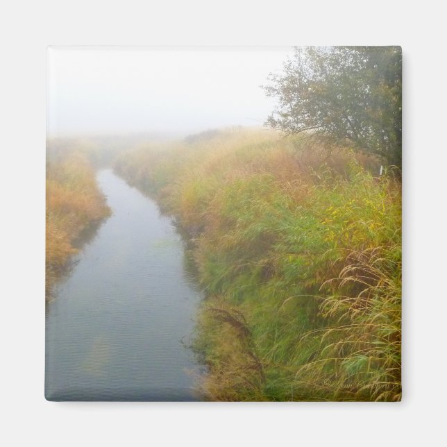 Foggy Bach 2 Magnet (Vorne)
