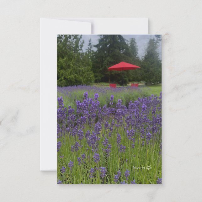 Foggy Day, Lavenders & Red Umbrella Mitteilungskarte (Vorderseite)