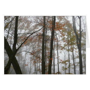 Foggy Fall in Pennsylvania Herbst Natur