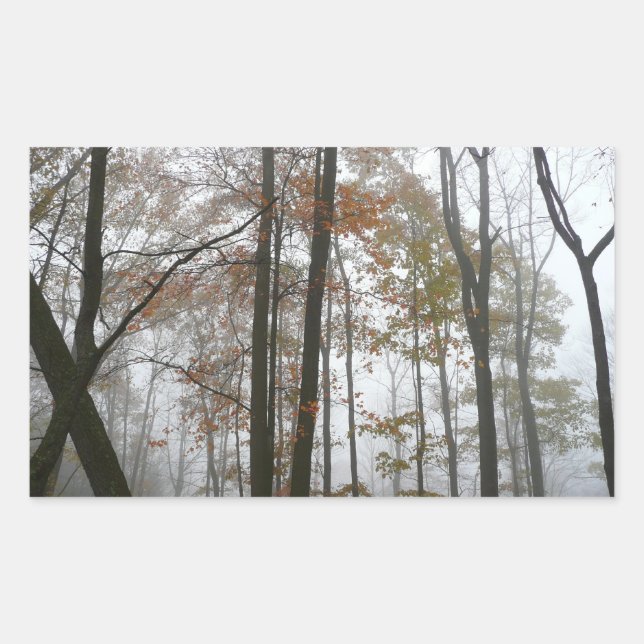Foggy Fall in Pennsylvania Herbst Natur Rechteckiger Aufkleber (Vorderseite)