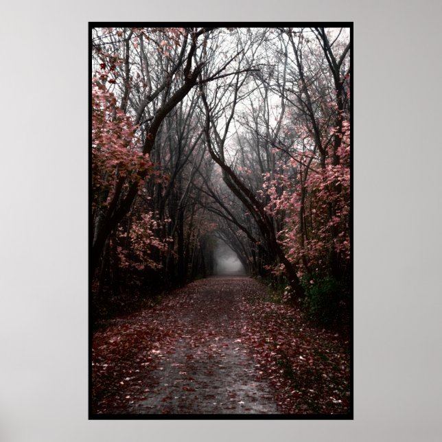 Foggy Fall Trail Poster (Vorne)