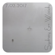 Foggy Gese